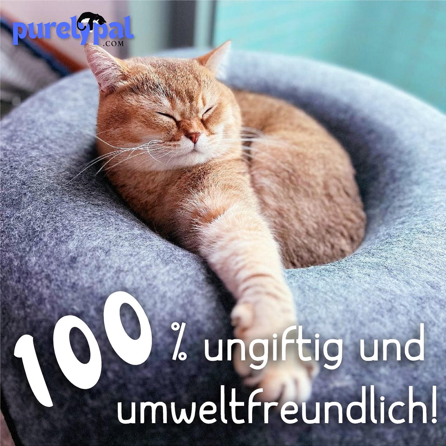 Gemütliche Höhle